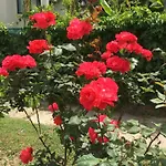 Linda Apart سيدي